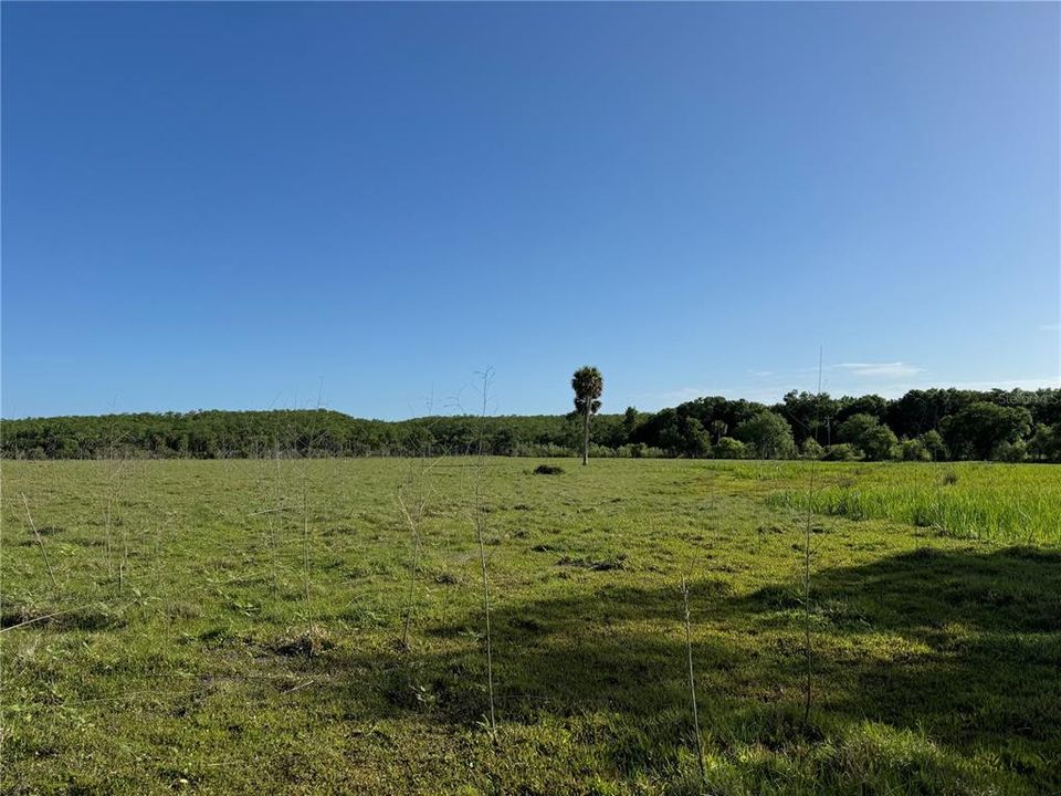 For Sale: $247,500 (11.00 acres)