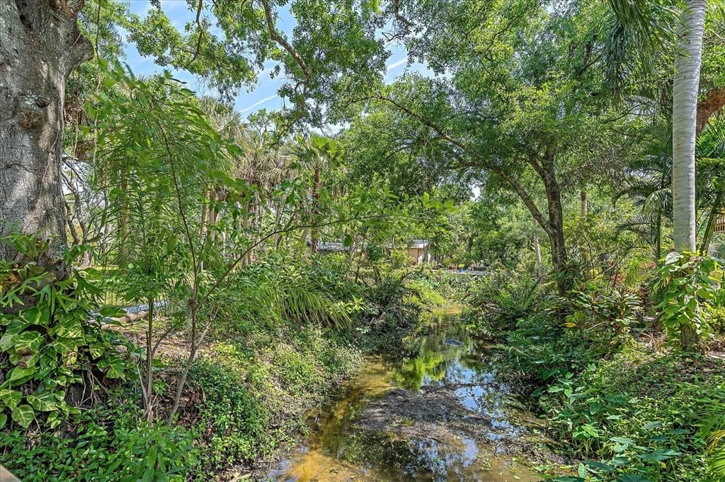 Creek that runs through the property