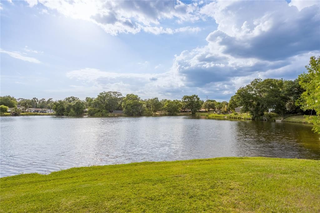 Bloomingdale East neighborhood with its parks, playground, basketball, tennis, pickleball, and racquetball courts, as well as the Bloomingdale Golf Course, are just a short distance away, providing plenty of recreational opportunities for residents.