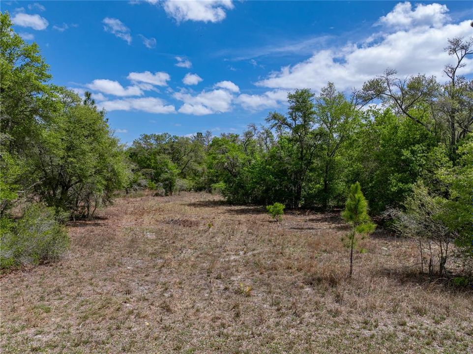 Active With Contract: $29,990 (1.16 acres)