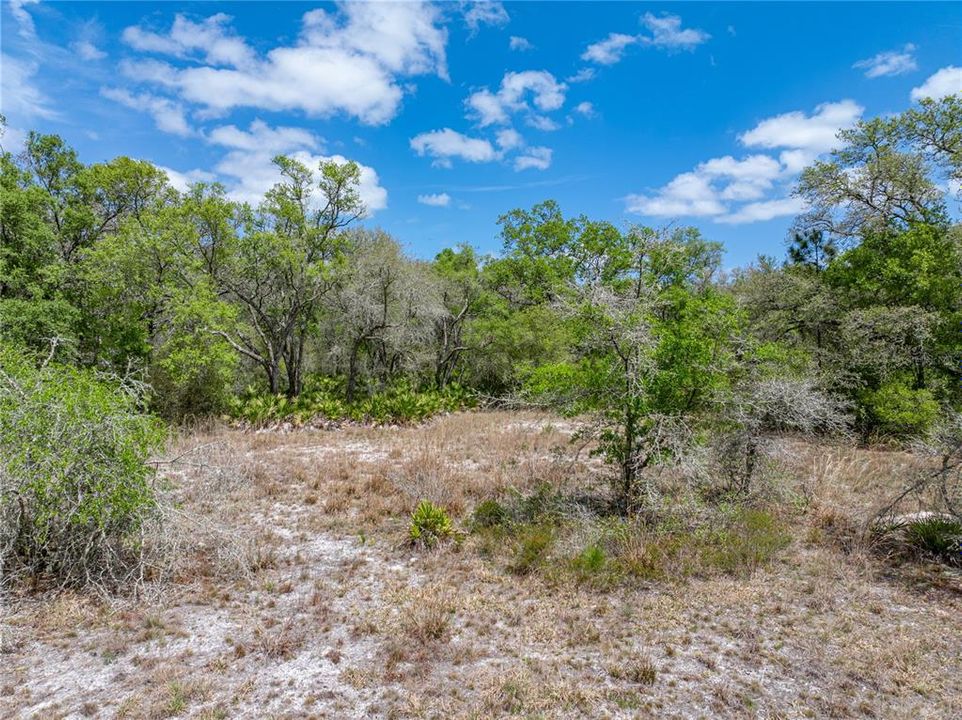 Active With Contract: $29,990 (1.16 acres)