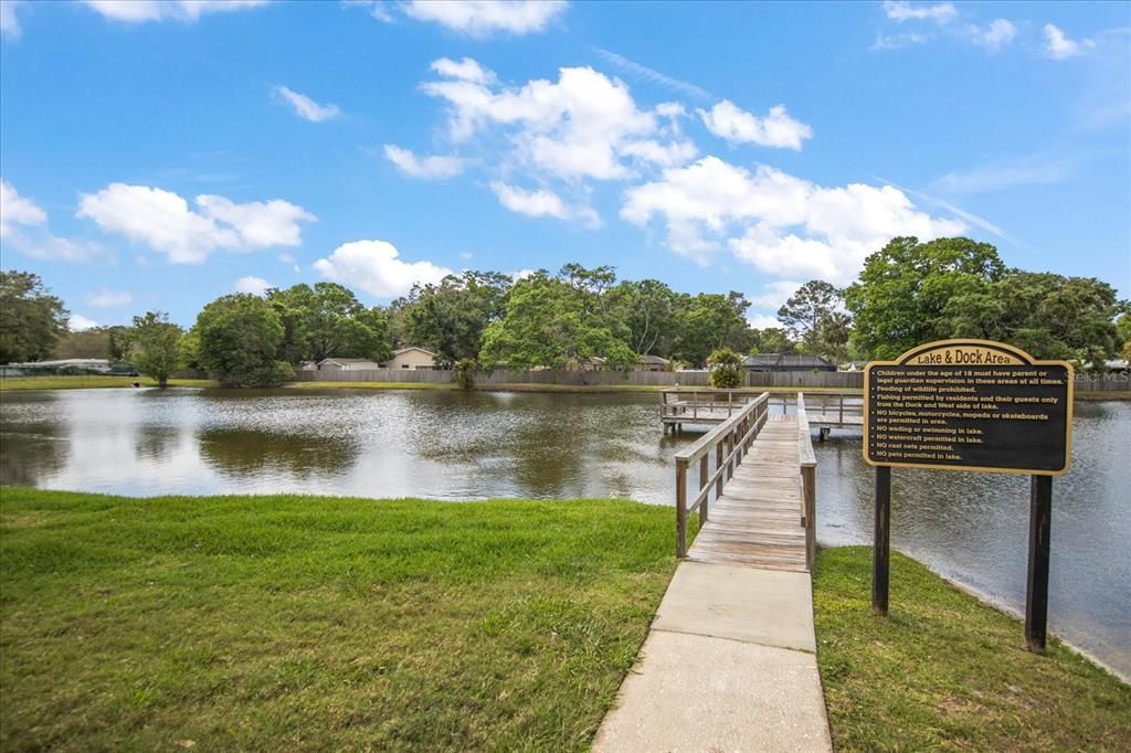 Community pond/dock