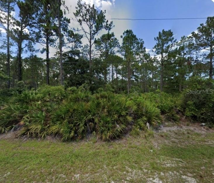For Sale: $68,000 (0.23 acres)