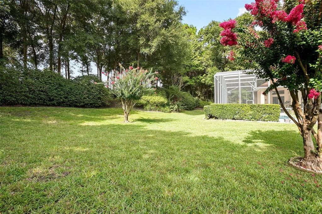 Impeccably maintained lawn