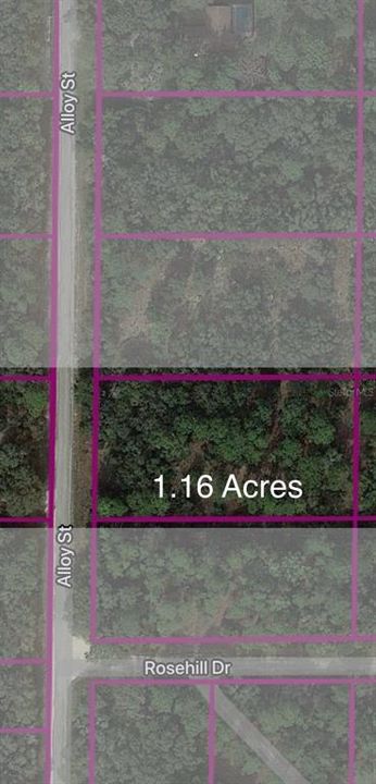 For Sale: $35,000 (1.16 acres)