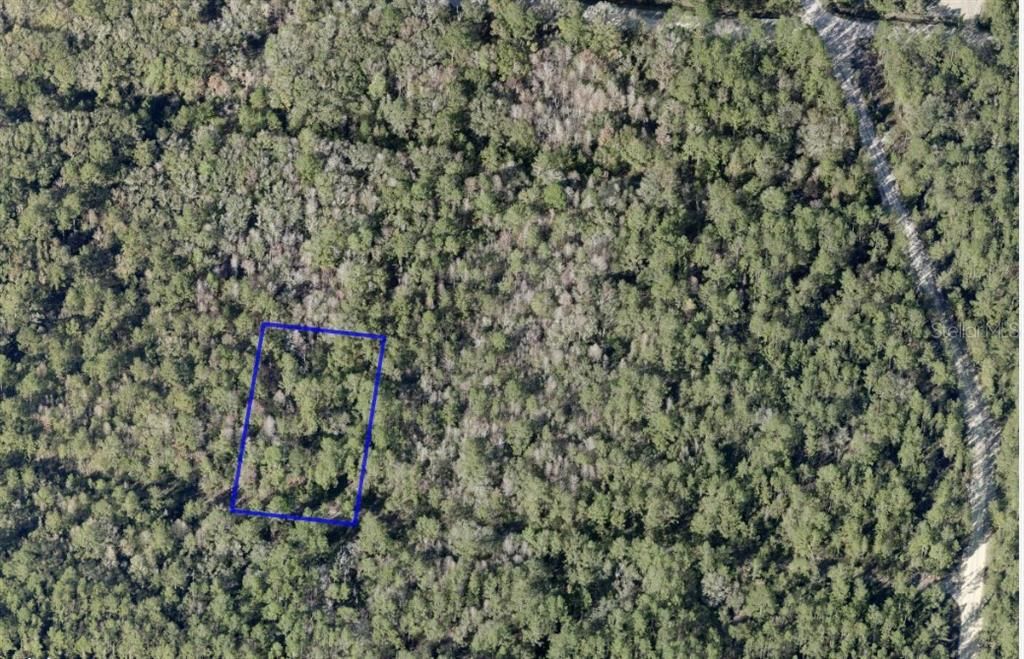 For Sale: $34,800 (1.14 acres)