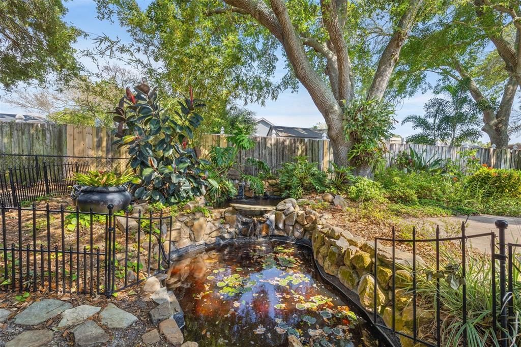 Tranquil pond in the backyard