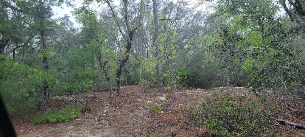 Recently Sold: $39,900 (2.38 acres)