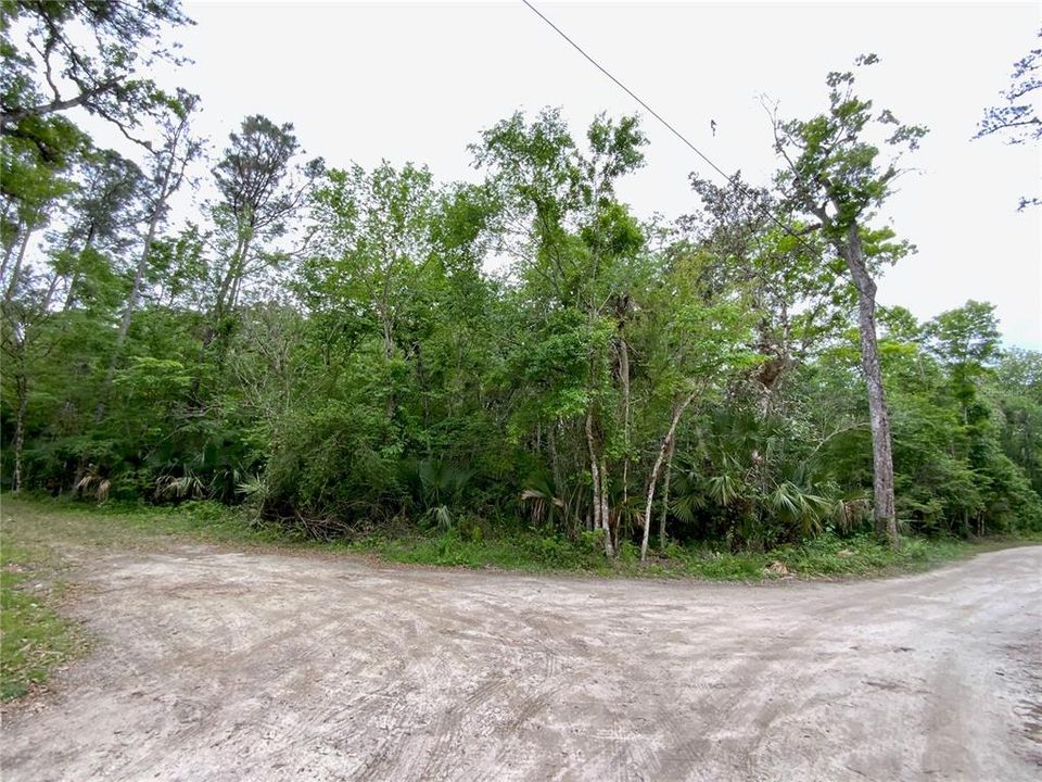 En Venta: $172,500 (7.06 acres)