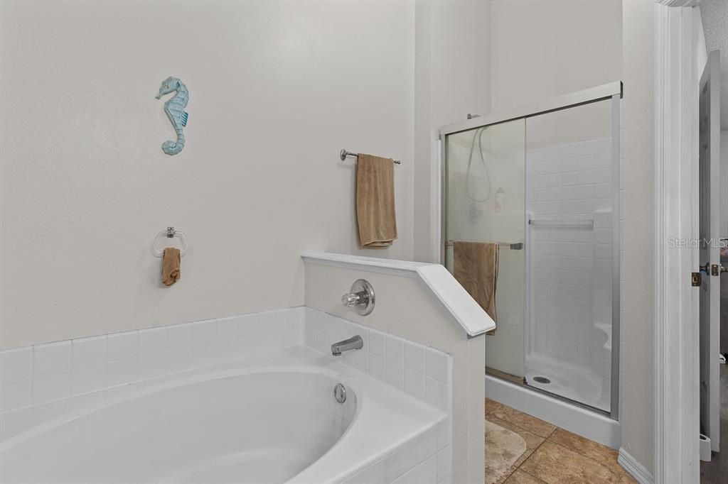 Primary ensuite bathroom with tub and walk-in shower