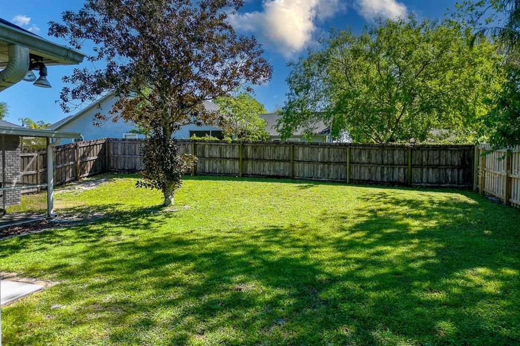 Huge fenced back yard.