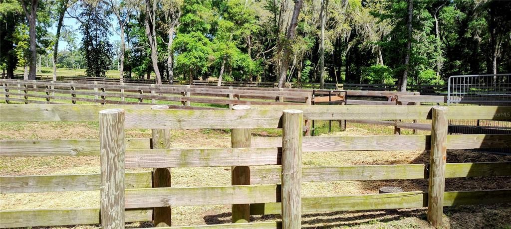 Cowboy Cut thru Fence for easily accessing pastures!!
