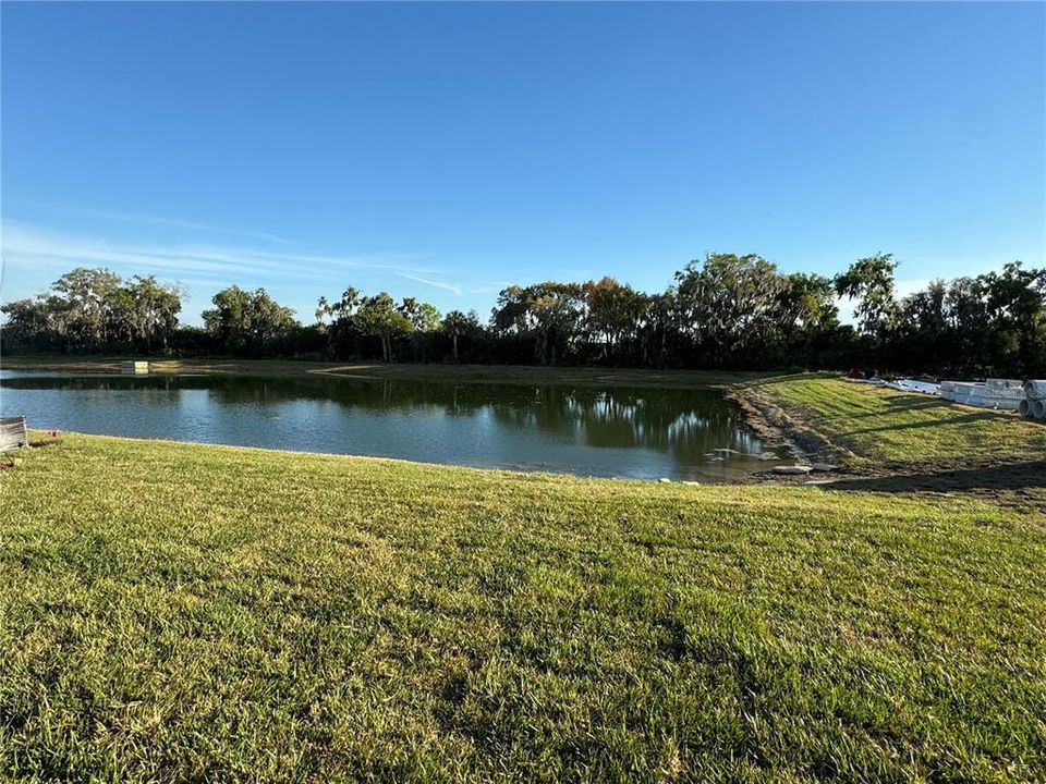 Backyard View