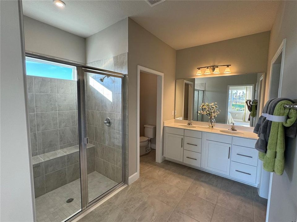 Primary Bathroom with shower