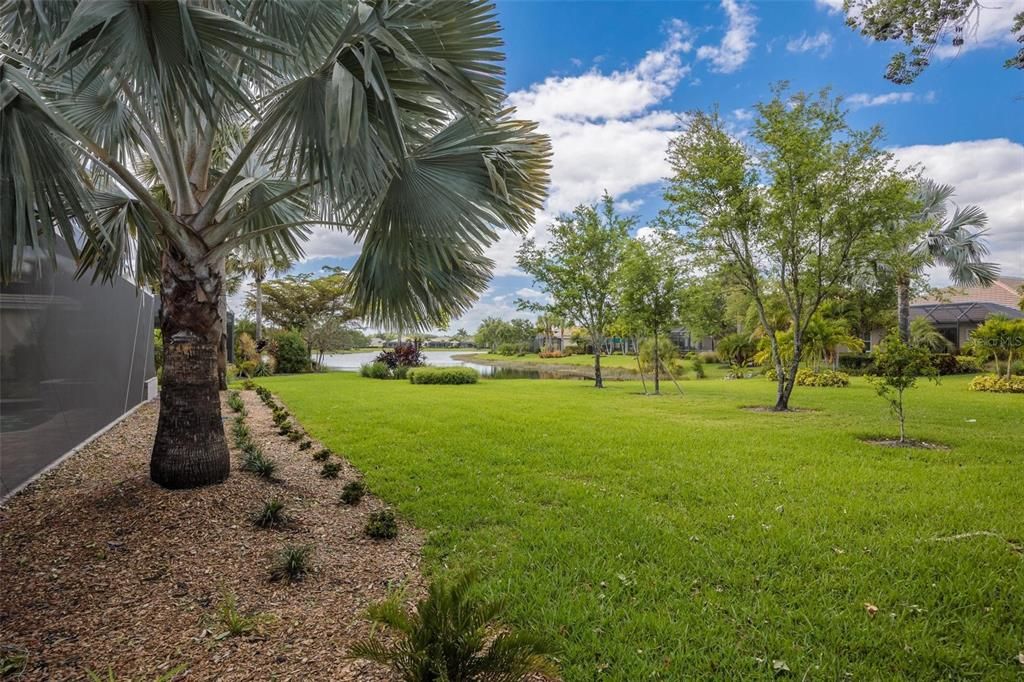 Rear Yard view of the Lake, professional landscaping and mature palms and oaks.
