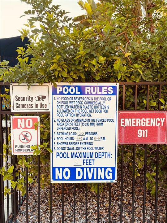 Community Pool Rules