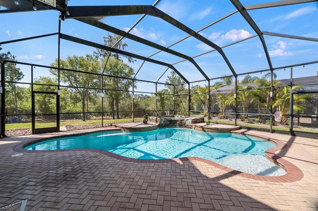 Saltwater Pool with Heated Spa