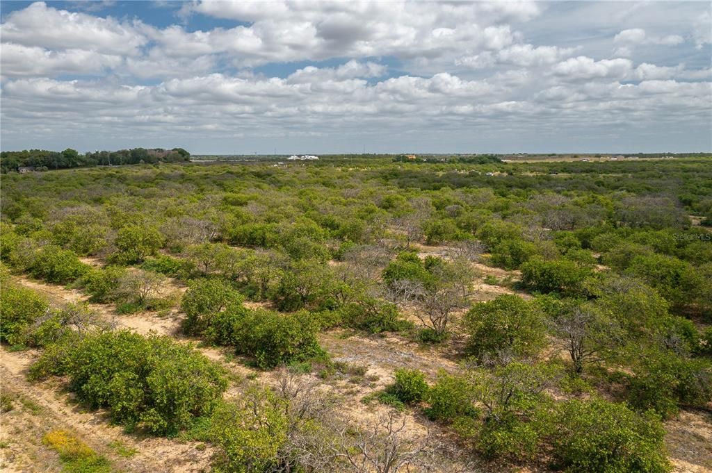 For Sale: $1,500,000 (27.71 acres)