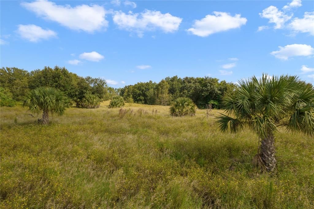 For Sale: $379,900 (6.36 acres)