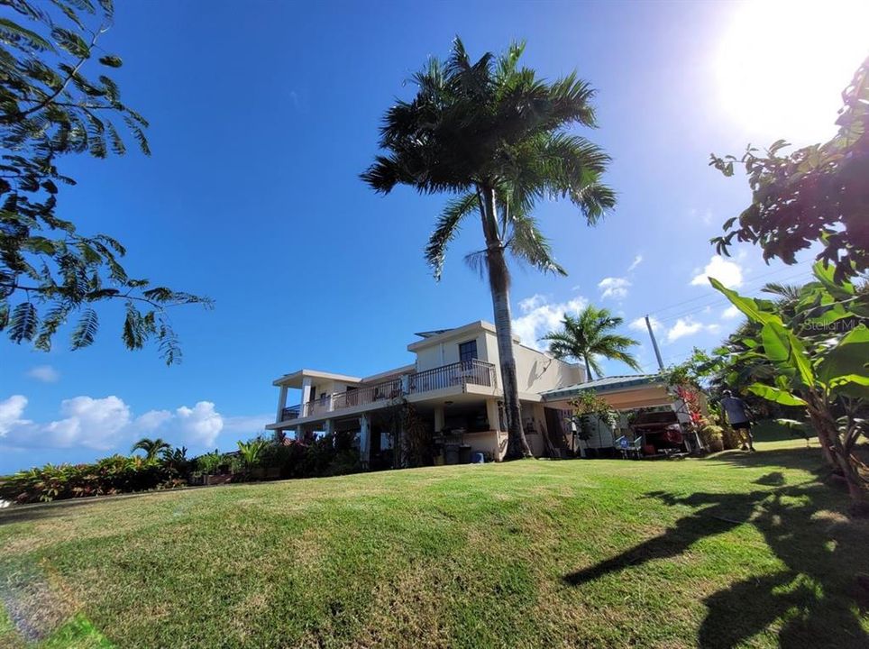 House from Back Yard