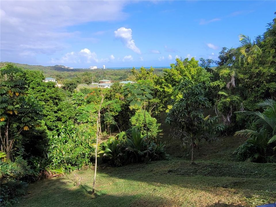 View from Down the Property