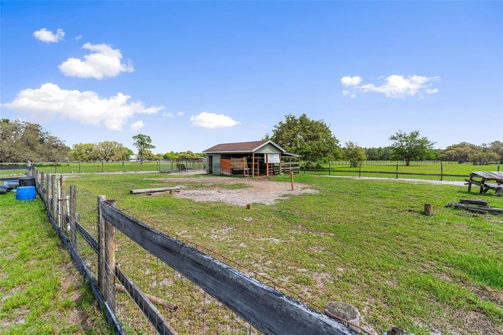 DOG PENS / GOAT SHELTER