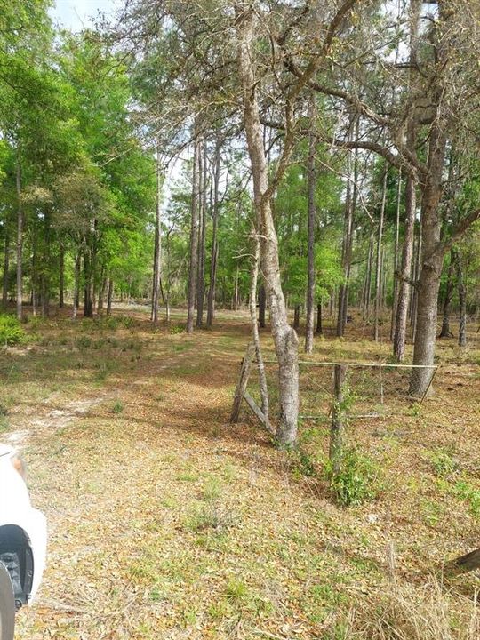 Active With Contract: $70,000 (1.10 acres)