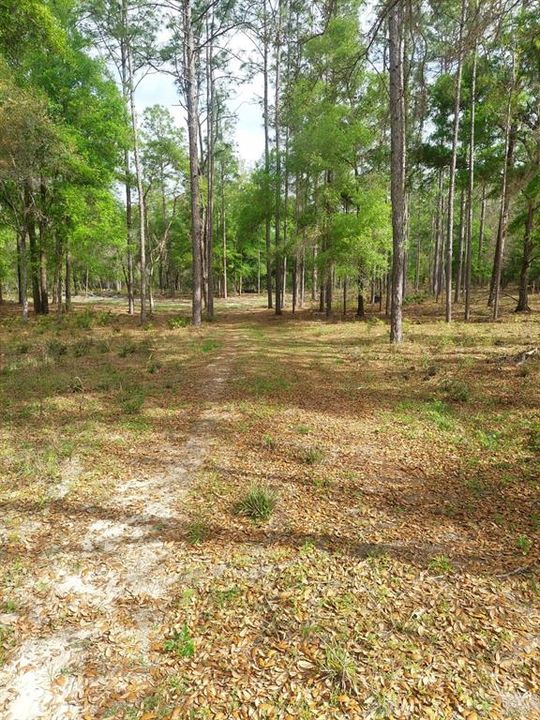 Active With Contract: $70,000 (1.10 acres)