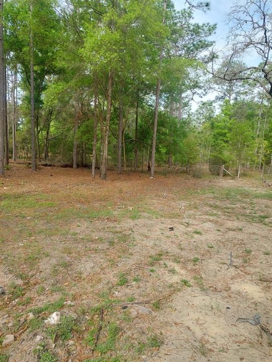 Active With Contract: $70,000 (1.10 acres)