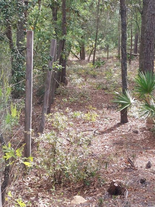 Active With Contract: $70,000 (1.10 acres)