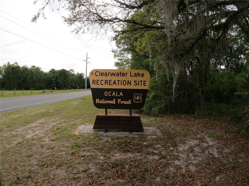 Nearby Clearwater Lake Recreation Area and Ocala National Forest just a couple miles away.