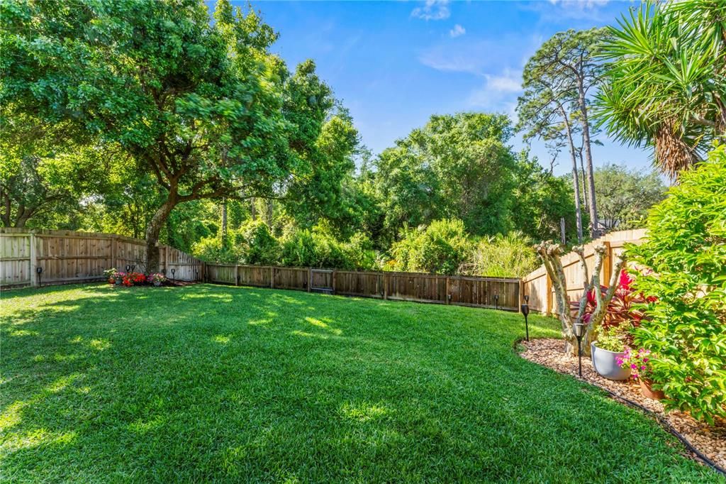 Spacious backyard with conservation view