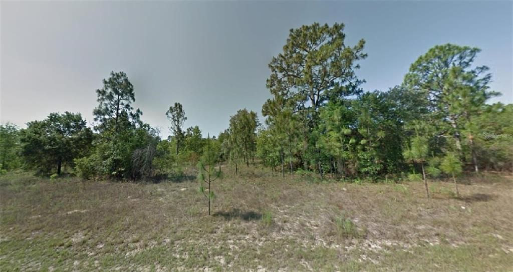 For Sale: $25,000 (0.23 acres)