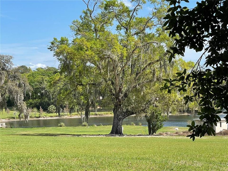 Serene views of the nature park