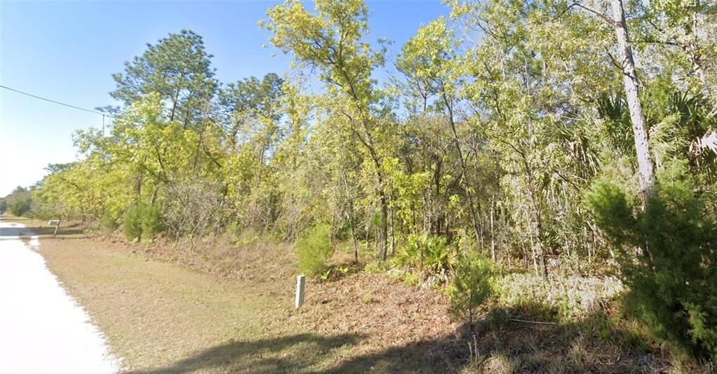 For Sale: $41,000 (1.17 acres)