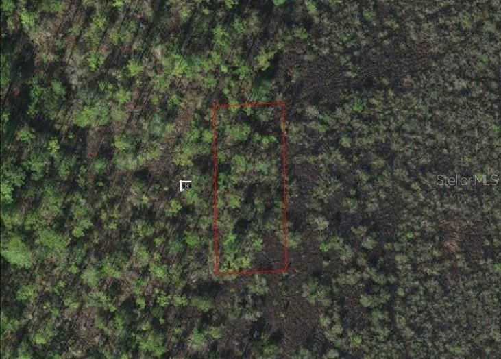 For Sale: $12,000 (0.14 acres)