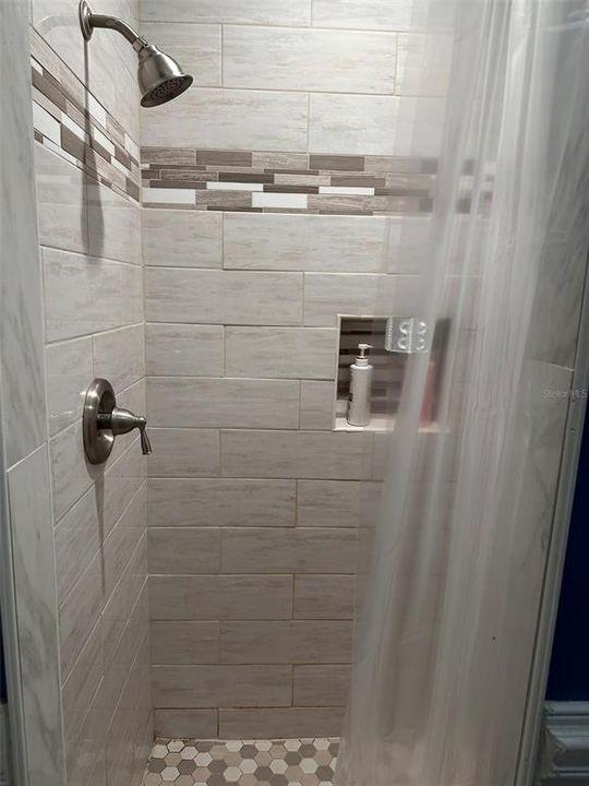 Master Bath Shower