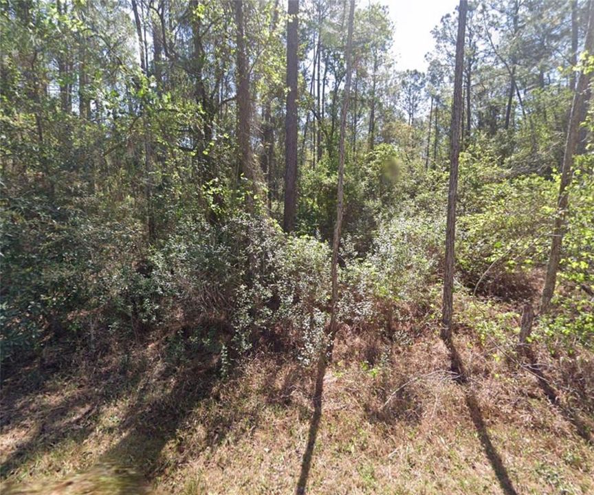 For Sale: $12,999 (0.23 acres)