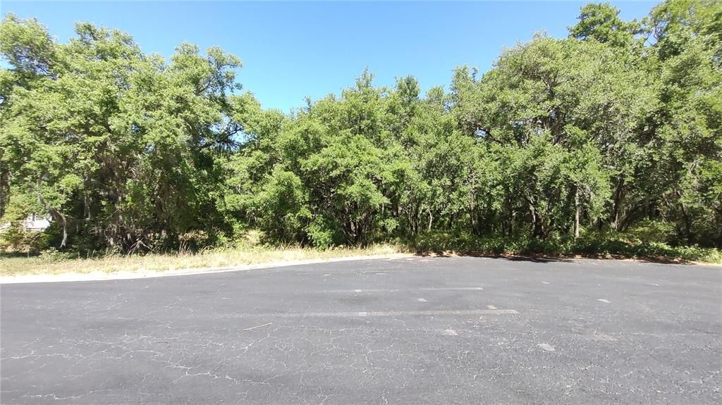 Vendido Recientemente: $219,900 (1.18 acres)