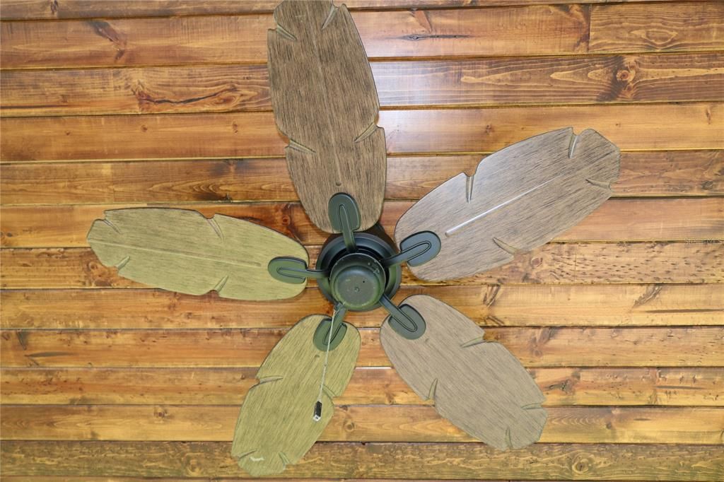 Back Porch Fan and wood Ceiling