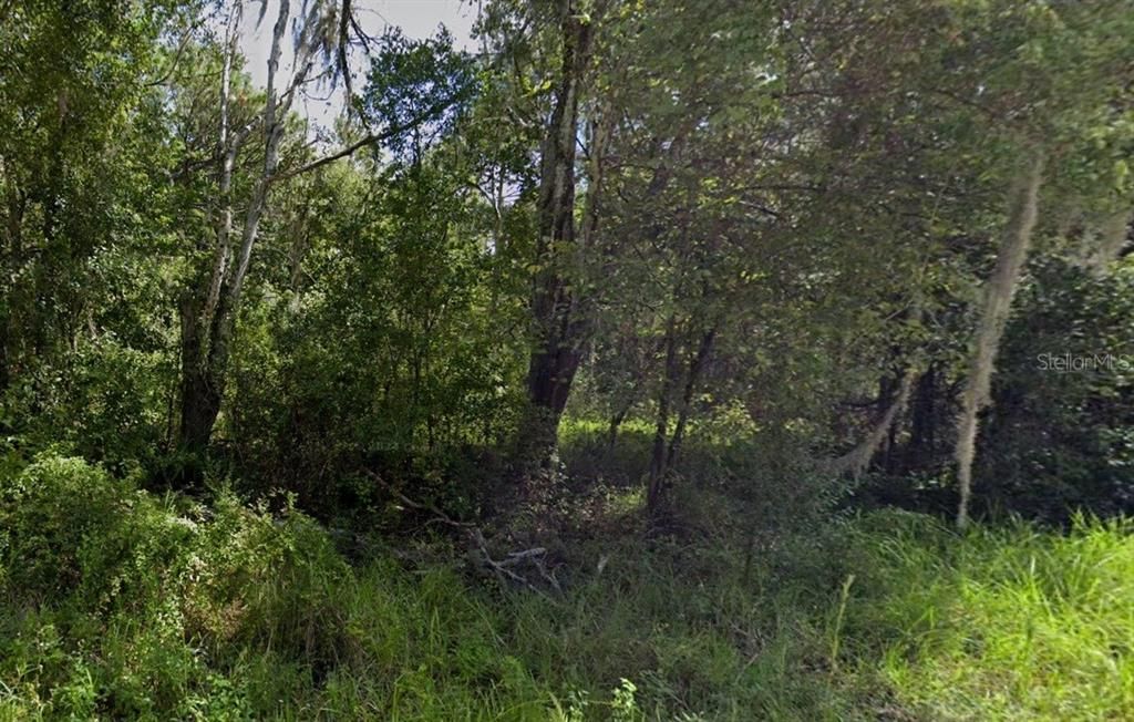 For Sale: $50,000 (0.27 acres)