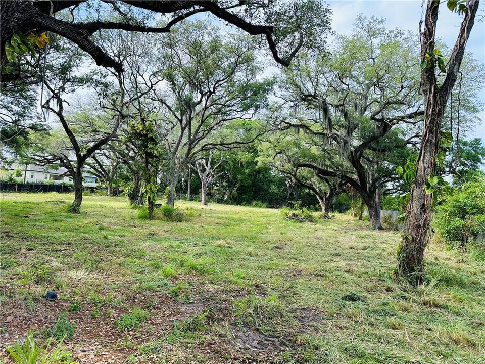 For Sale: $650,000 (6.58 acres)