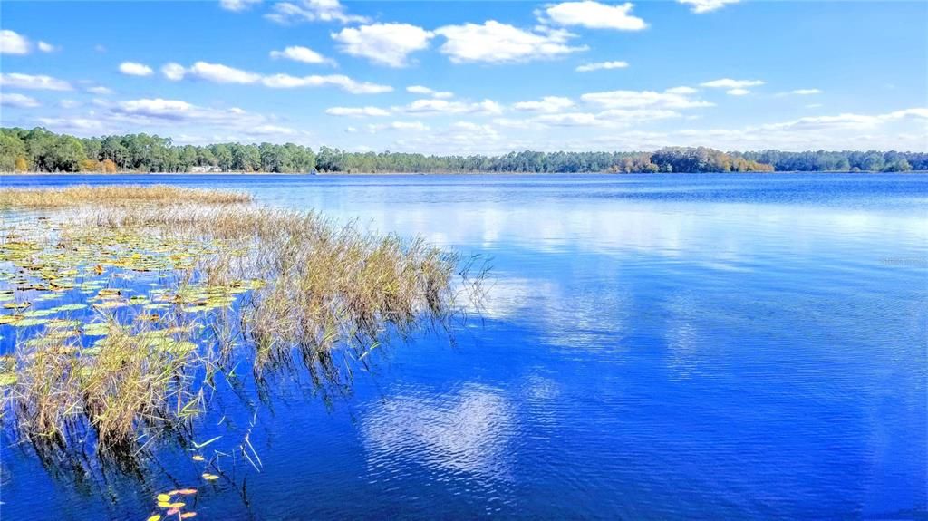 Springfed  Deerback Lake. Lose the fear of losing your waterfront view