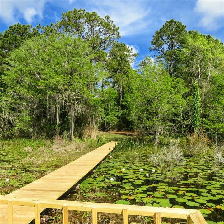 BRAND NEW DOCK AND WALK WAY