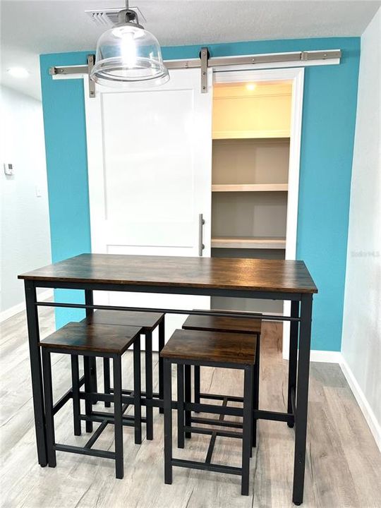 Large Pantry with Barn Door