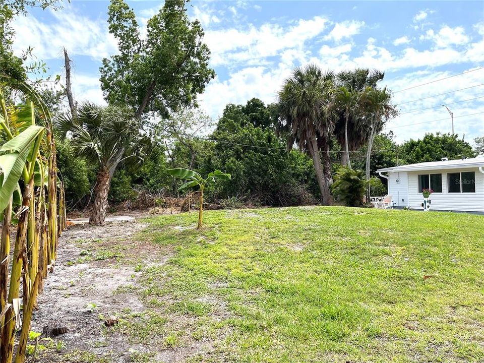 Large backyard with Banana Tree line