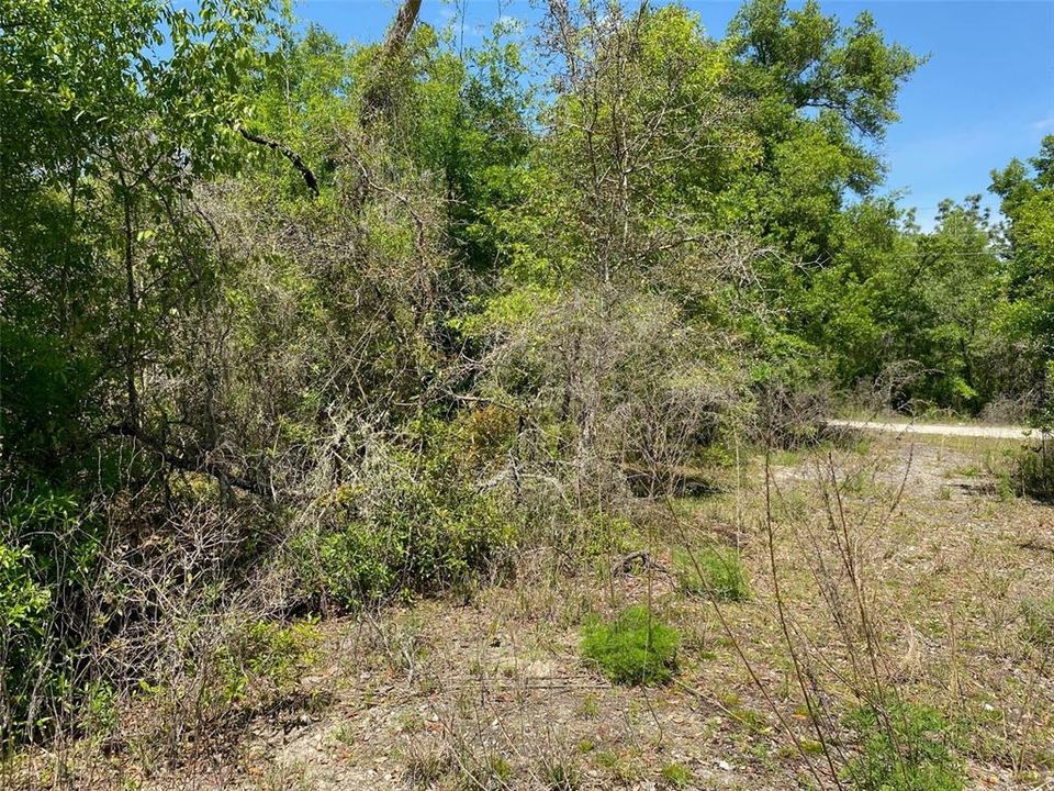 Active With Contract: $29,000 (1.00 acres)