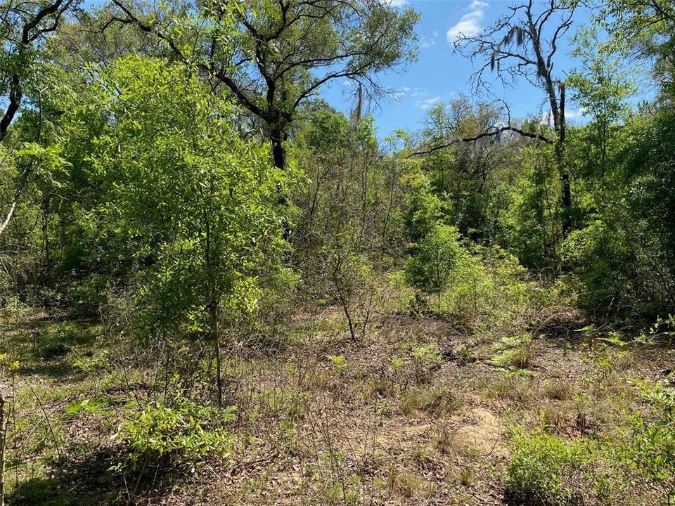 Active With Contract: $29,000 (1.00 acres)