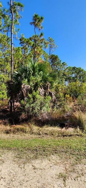 For Sale: $25,000 (1.03 acres)