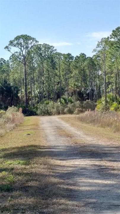 For Sale: $25,000 (1.03 acres)